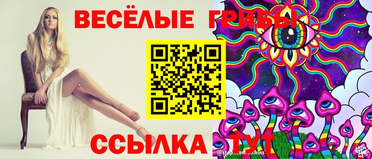 Псилоцибиновые грибы Cubensis Юрга
