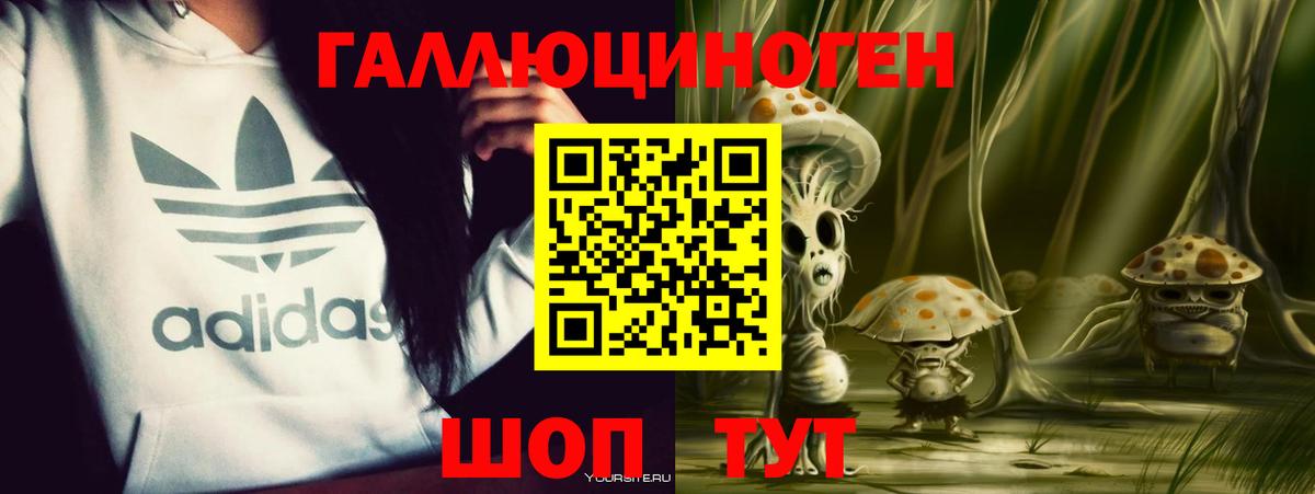 Юрга  Псилоцибиновые грибы Psilocybe  Вход с VPN 