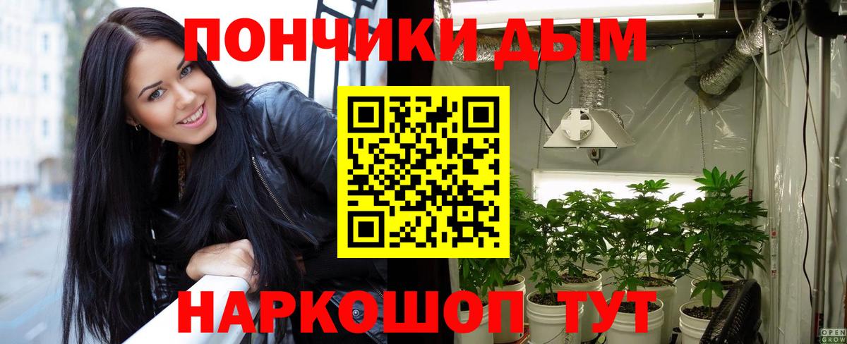 Марихуана гибрид  Канабис Ganja  Бошки Шишки SATIVA & INDICA  Юрга  Вход с VPN 